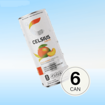 셀시어스 오리지널 피치 망고 그린티 325ml 6can 피트니스 드링크