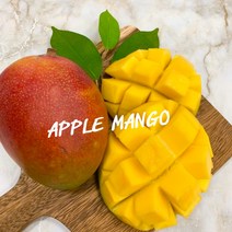 프리미엄 태국 노란망고//애플망고, 프리미엄 애플망고 4kg 7~10과 (일반포장)