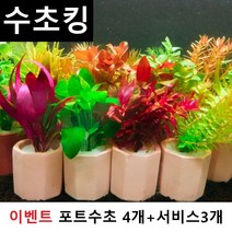 수초맛집 수초킹 키우기 쉬운 포트수초랜덤+모스볼 마리모 부상초 비료 중 랜덤지급, 3개