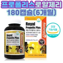 로얄프로폴리스 활력 면역력높이는 여성피로회복제 20대 30대 40대 50대 60대 70대 80대 프로폴리스 건강식품 항산화 폴라폴리스 식가래없애는법 코감기빨리낫는법 키즈 아이