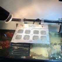 스테인레스 아크릴 터틀팟 반수생 거북이육지 모음 커먼머스크 페닌슐라쿠터 터틀 키우기, 08 오성호텔