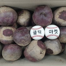 클릭마켓 제주비트 빨간무 레드비트 5kg 10kg ABC쥬스 비트즙 비트차 비트가루 용, 10kg x 1box, 1개