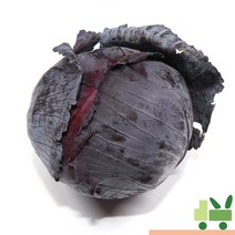 사라상회 적양배추 (적채) 3통