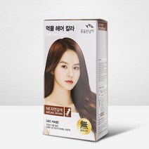 꽃을든남자 먹물 헤어칼라_새치커버, 1개, N6 자연갈색