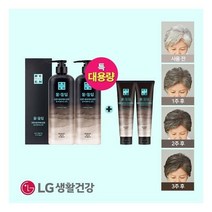 자연갈색물들임 대용량 샴푸 2개+물들임 트리트먼트 2개