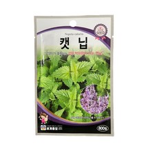 캣닢 씨앗 800립 [22년포장] 박하향이 나는 고양이가 좋아하는 캣닢 종자