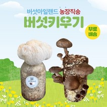 버섯키우기, 노루1+표고1