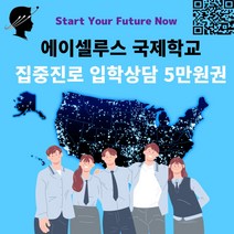 미국학교 집중진로 입학상담 5만원권 외국학교 고등학교 미국 대안학교 에이셀루스 국제학교 졸업장, 조민템 쿠팡 본상품선택