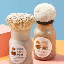 무럭무럭 노루궁뎅이+팽이 버섯 키우기 키트