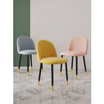 엔틱 식탁 의자 고급 인테리어 편한 메이크업 여자 침실 ins 스타일 네일 드레싱 홈, z