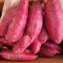 못난이 고구마 한입 5kg, 단품