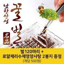 베스트 꿀봉 추천순위 TOP100
