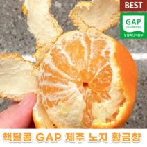 핵 달콤 GAP 제주 제주도 노지 황금향 3kg 5kg 감귤 과일박스 대과 로켓프레시황금향 계절과일 밀감 제주황금향 선물용 추석 설날, 6KG