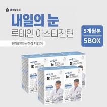 안구 망막 모세 혈관 혈류량 증가 눈 시력 피로도 노화 회복 건강 을 지키는 루테인 아스타잔틴 헤마토코쿠스 영양제, 5BOX(5개월분)