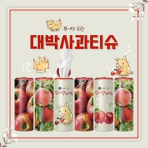 재물복 슬림티슈 6P 대박사과 / 집들이선물 개업선물 선물세트 풍수인테리어 인테리어티슈 차량용 티슈 휴대용티슈