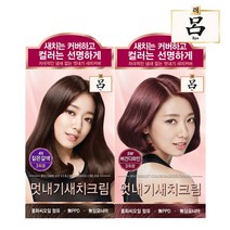 려 우아채 멋내기 새치크림 염모제 6종 1+1, 1세트, 4N짙은갈색+5W버건디와인