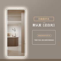 전신거울 대형 인테리어 이동식 거울 벽 장식 메이크업 미용사 긴 바닥 욕실 데코 장식, 스위치 없음