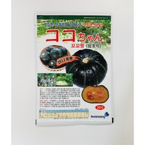 밤호박/미니밤호박종자/소형단호박 (꼬꼬짱밤호박) 20립 1봉지