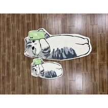 고양이 캐릭터 노슬립 극세사 물흡수 발매트 욕실 화장실 주방 현관 주방, 사진 찍는 냥이