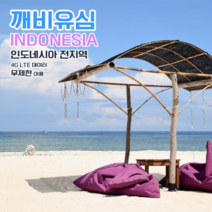깨비유심 인도네시아 전지역 4G LTE 데이터 5일 이용 유심 출국전 불량 유심 확인 가능 (4362530), 김포 공항 수령