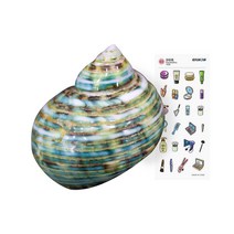 소라게 쉘 3cm 그린 인도게 터보 셸 천연 자연물 은신처 탈피 껍데기 애완 도둑게 껍질 집 피신처 용품, 1개(스티커증정)