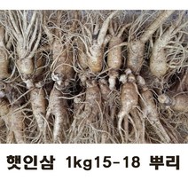 햇 인삼 가정용인삼 5년근 1kg 대사이즈 (15-18뿌리), 난발삼 세척원하지않아요(X)