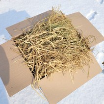 수다상사 볏짚 1.5kg 볏짚삼겹살 동물깔짚 원예용