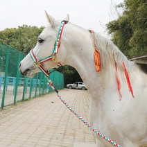 여성승마바지 승마부츠가방 승마용품 안장 장비 승마장갑 말 머리 용 세트 굴레 편안한 내마 모성 섬유 말 굴레 전체 세트 말 로프 8 피트 용 말 마구 승마 용품, 이탈리아 국기 고삐