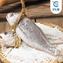 영광 법성포 국내산 굴비 20마리 1.2kg내외, 단품