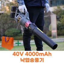 알비마켓 낙엽송풍기 무선 송풍기 40V 눈치우는기계, 배터리2개 세트, 1세트