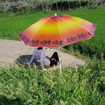 즐거운 쇼핑 되세요~심플 비치 파라솔/낚시 파라솔/간편파라솔 파라솔 대형파라솔 꺽임파라솔 2단파라솔 파라솔세트 파라솔받침~감사 합니다., 옐로우비치