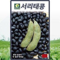 서리태콩 씨앗 콩 씨 재래종 종자 30g, 단품없음
