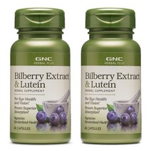 지엔씨 빌베리 루테인 눈건강 60정 GNC HERBAL PLUS, 2개