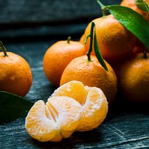 제주 레드향 천혜향 한라봉 황금향 노지 감 귤 설선물 명절선물 설선물세트 3kg 5kg, 1. 한라봉 3kg 9~10과 (로얄사이즈 추천)