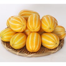 성주 참외 가정용 3Kg 아삭 꿀 참외 신선도 관리철저 산지직송, 주문1 가정용참외 3kg 중과