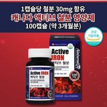 여성 생리 임산부 출산후 임신 산모 철분제 성인 남성 청소년 어지럼증 철 결핍성 결핍 철분 부족 증상 개선 에좋은 식약처 인증 건강 기능 식품 대용량 고함량 철분 영양제 100캡슐, 1개