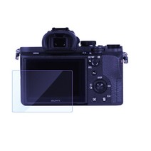 2개/몫 스크린 A6300 A99 A77 A7III A7rM3 RX10 WX350 Ax100e Axp55, 04 Ax100e Ax1e Axp55