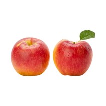 빨간 사과 햇 부사 4.5KG (26-30과) / 12brix 이상, 4500g