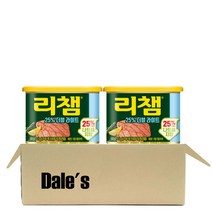 데일즈기획 동원 리챔 더블라이트, 300g, 2개