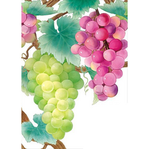 풍수 보석십자수 포도 블루베리 건강 재물 복 수확하는 과일 아트 다이어몬드페인팅 캔버스형 원형비즈 집콕취미 집들이 개업선물 구슬 큐빅 수공예 DIY키트 10종 액자미포함 티레오, 포도 블루베리 십자수선택07번, 80*100CM