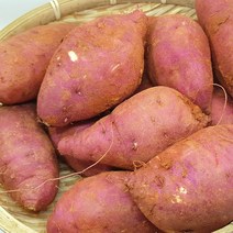 최고구마 지금수확중 23년 햇 밤고구마 3 5 10kg 팍팍한 밤고구마, 1개, 꿀밤고구마3kg(왕/대/튀김용)