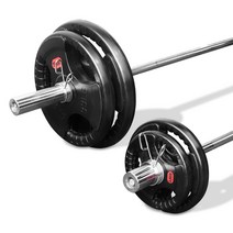 카르빈 바벨 중량 원판 (2.5kg부터 25kg까지) 1개, 2.5kg