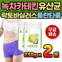 녹차유래 유산균 그린티 락토바실러스 플란타룸 장내 유익균 비타민 포도당 남성 여성 남자 여자 온가족 키즈 유아 프락토올리고당 유산균먹이 함유 녹차추출물 녹차추출분말 카테킨유산균