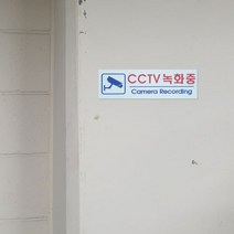 플로엠 아크릴 표지판(250x80mm) 33종 학교 회사 매장용 문패, F35100(CCTV녹화중)