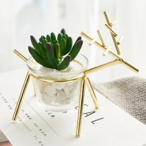 바보사랑 사슴모양 유리잔 화분(황금색) .미미네아쿠아