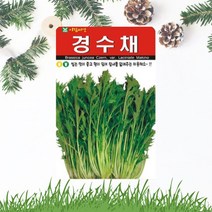경수채씨앗 2000립 교나 미즈나 수채 씨앗 종자