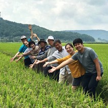 [마을기업] 친환경 무농약 8종쌀, 1팩, 무농약 홍미(홍진주) 2kg