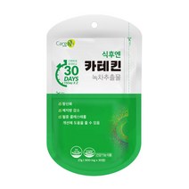 care엔 녹차카테킨 900ml 30정 (1개월분), 1개