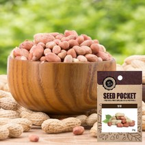 땅콩 씨앗 (20g), 단품, 1