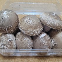 굿프렌드 [신선]국내산 송화고 버섯 실속형500g/1kg, 실속형 500g